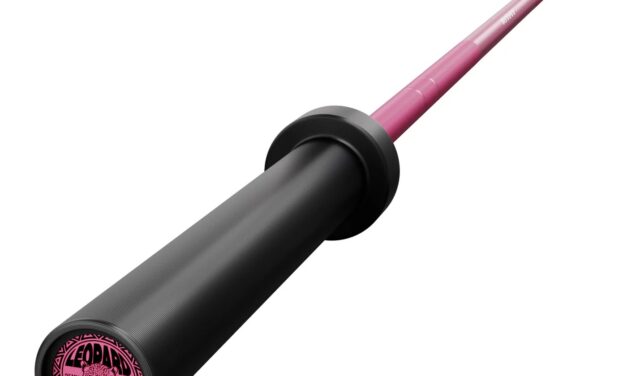 RitFit 15kg Pink Leopard Olympic Training Barbell Review: Style Meets Smooth Performance