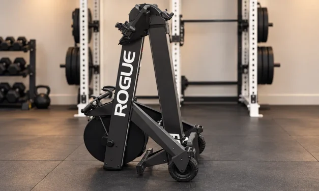 Rogue Echo Rower Review